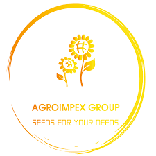 agroimpexseeds