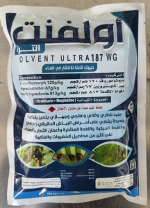 اولفنت