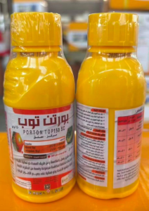 بورتون