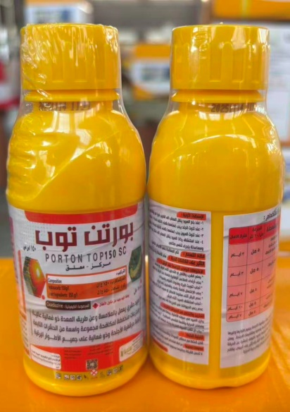 بورتون