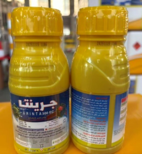 جرينتا