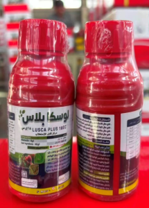 لوسكا